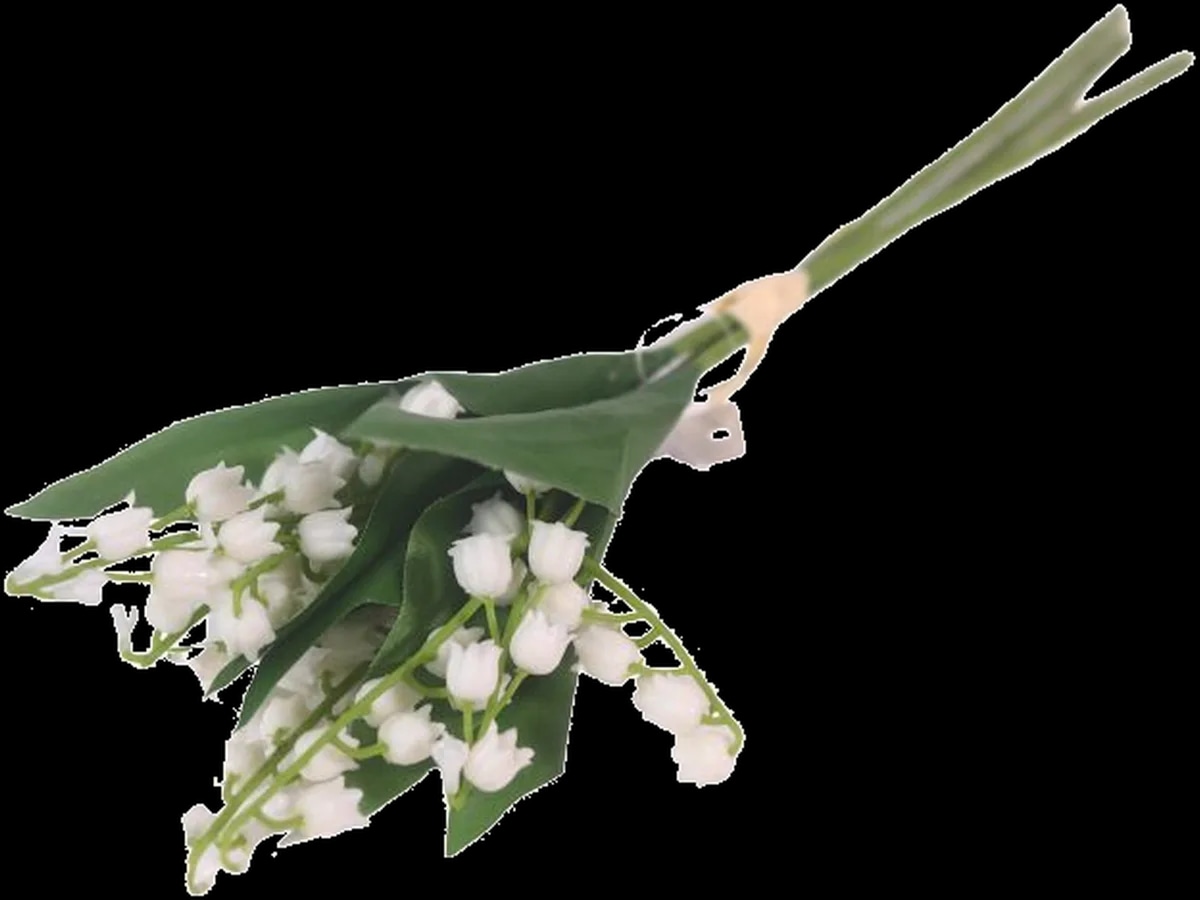 Buket đurđica 1 kom - Akcija u trgovini NTL