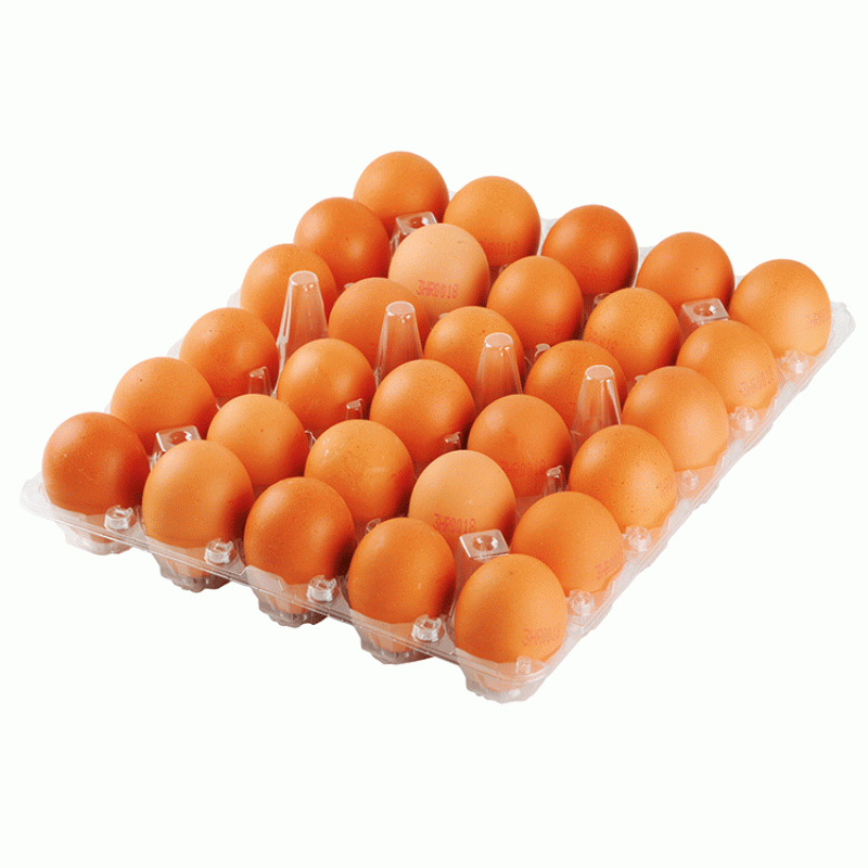 Svježa jaja 30 komada - Akcija u trgovini Lidl