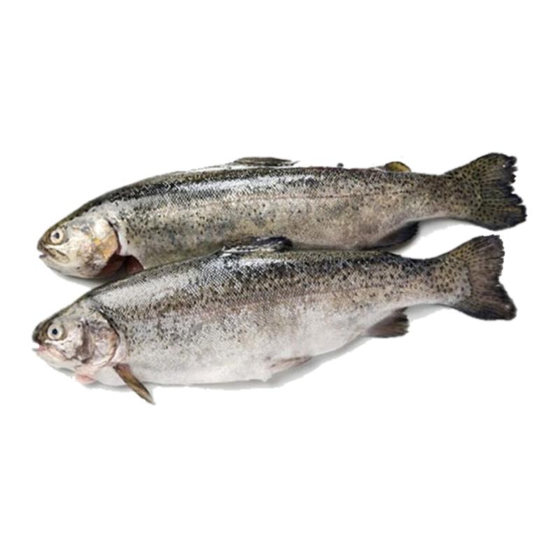 Svježa očišćena domaća pastrva 550 g - Akcija u trgovini Lidl