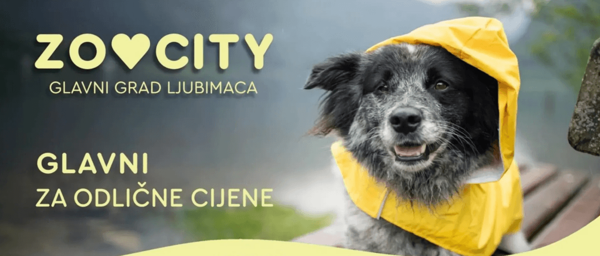 Zoo City katalog Studeni od 06.11. do 30.11.2025