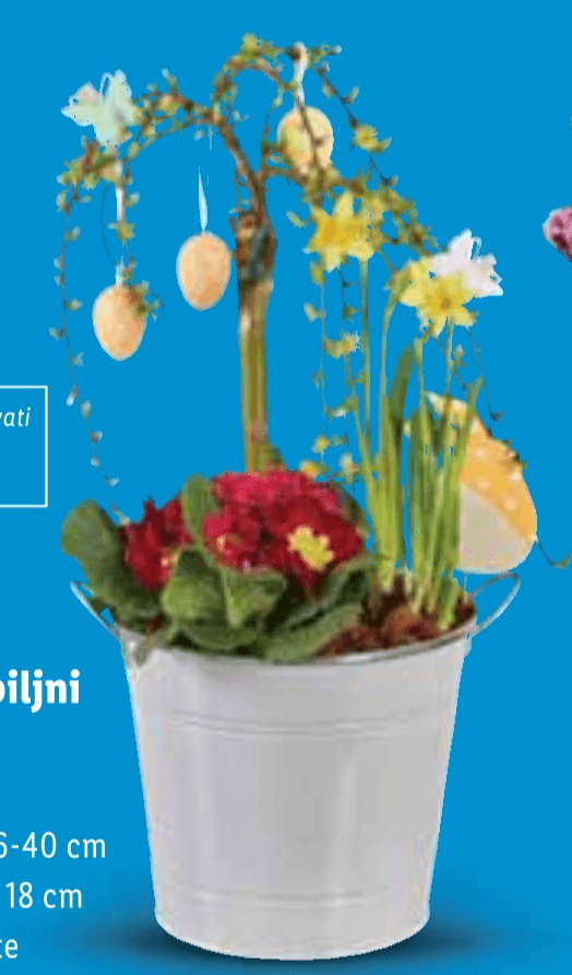 Uskršnji biljni aranžman Komad - Akcija u trgovini Lidl