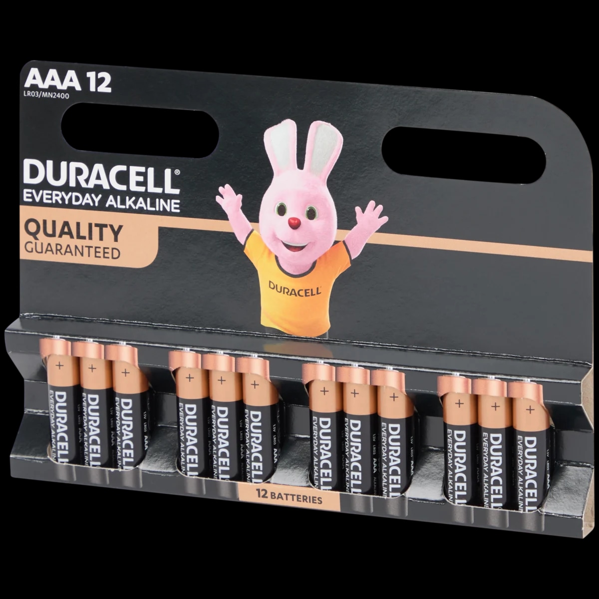 Duracell Everyday Alkaline baterije AAA 12 komada - Akcija u trgovini Action