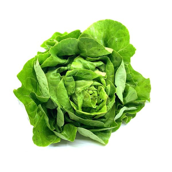 Zelena salata puterica komad - Akcija u trgovini Kaufland