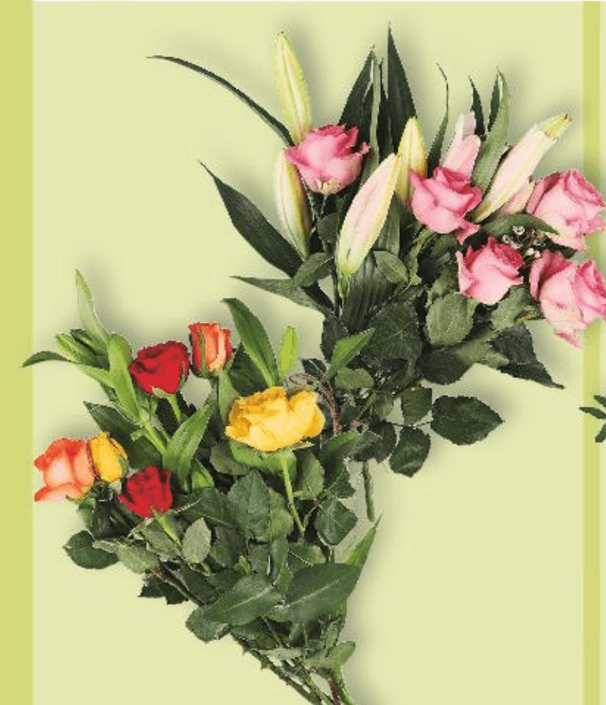 Buket ruže i ljiljan 1 komad - Akcija u trgovini Kaufland