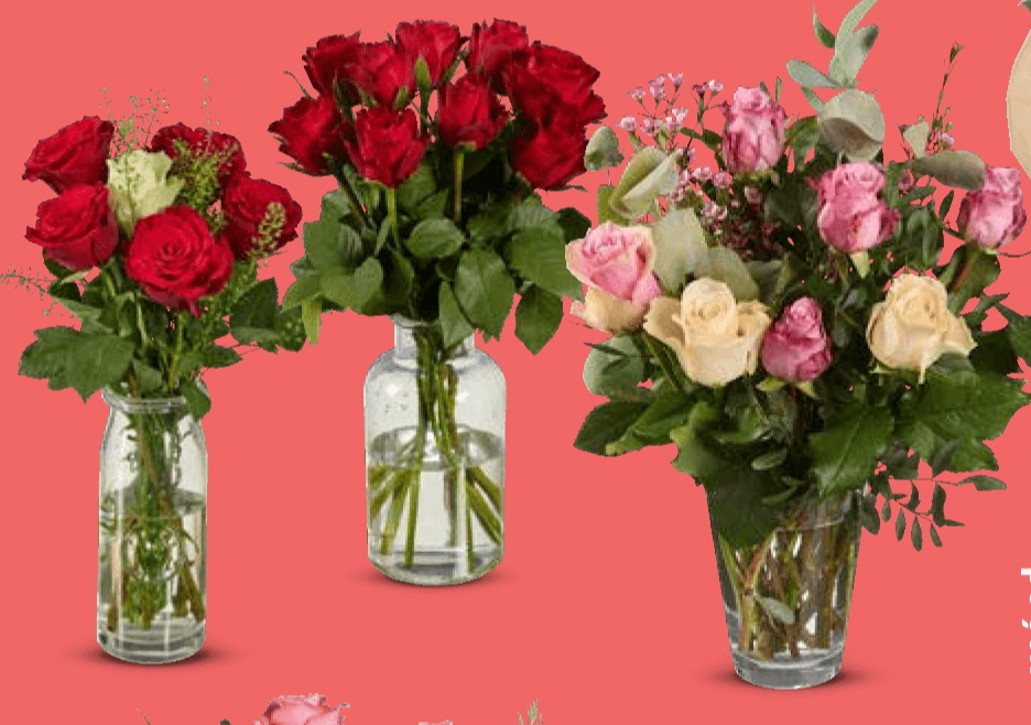 Ruže rezane Buket - Akcija u trgovini Lidl