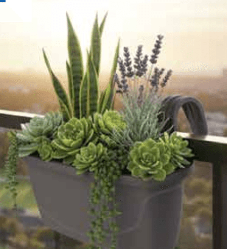 Vaze s kukicama 2 držača (5,5 l) PLASTOFLEX - Akcija u trgovini Plodine