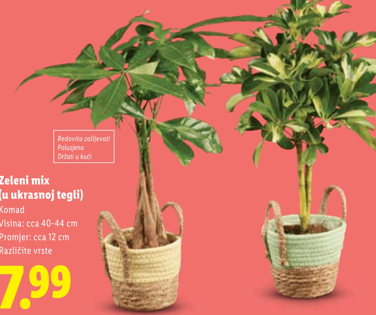 Zeleni mix - Akcija u trgovini Lidl