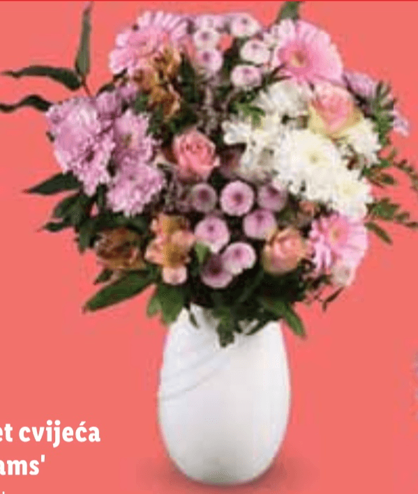 Buket cvijeća 'Dreams' - Akcija u trgovini Lidl