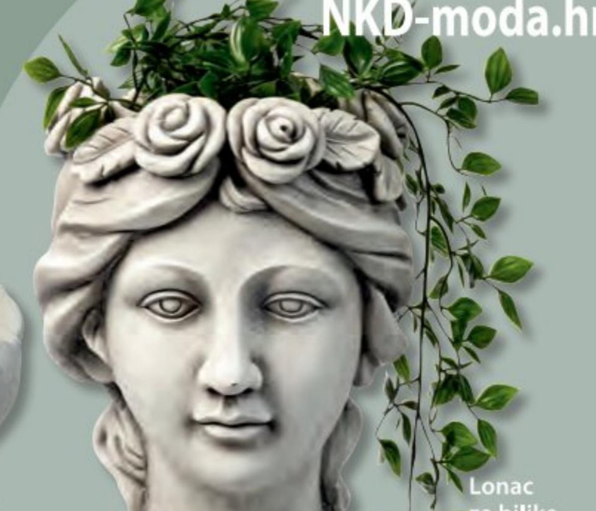 Lonac za biljke - Akcija u trgovini NKD