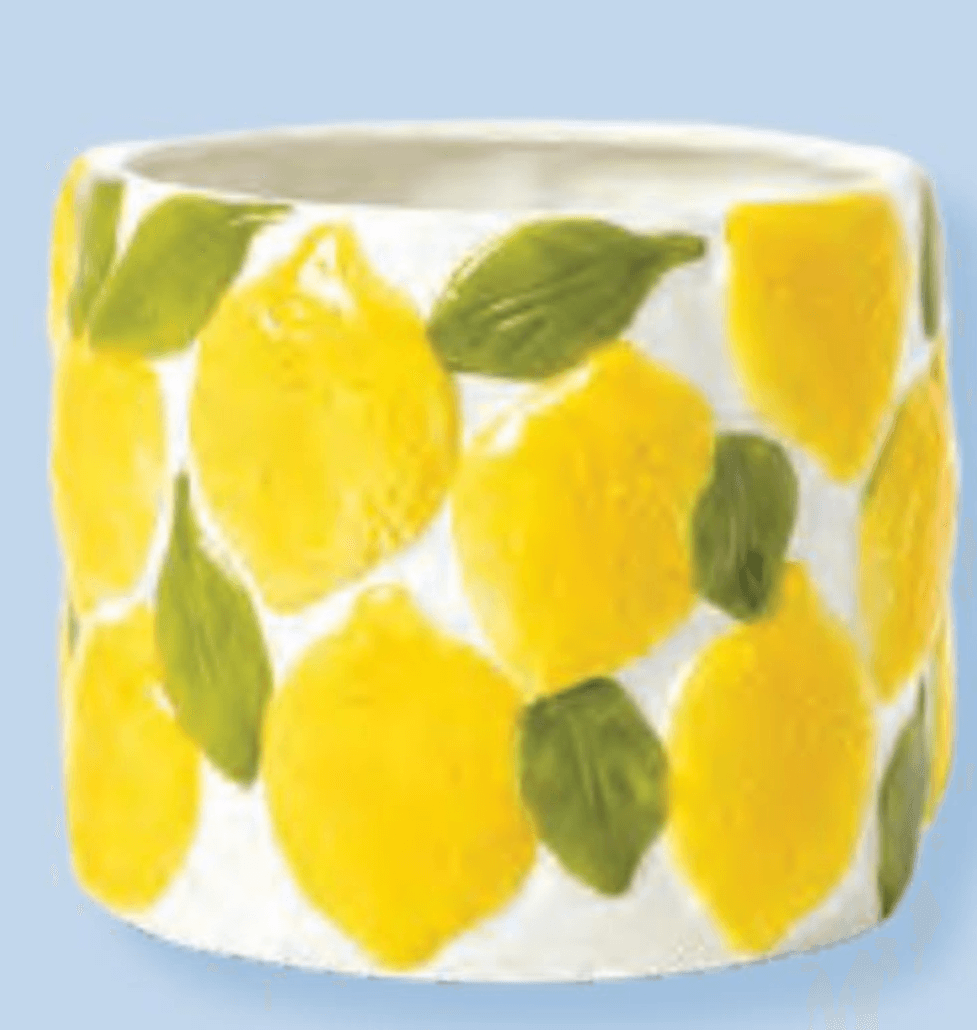 Tegla od dolomita za biljke - Akcija u trgovini Pepco