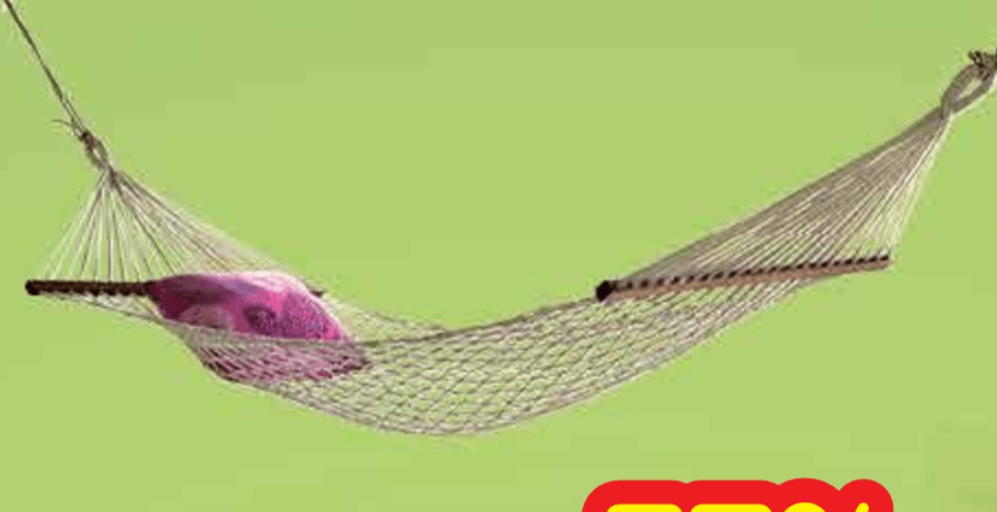 Viseća ležaljka - Akcija u trgovini Plodine