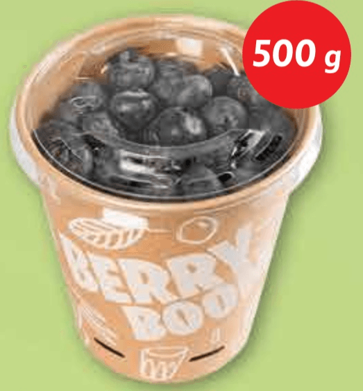 Borovnica 500 g - Akcija u trgovini Plodine