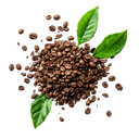 Kategorija - Kave i čajevi