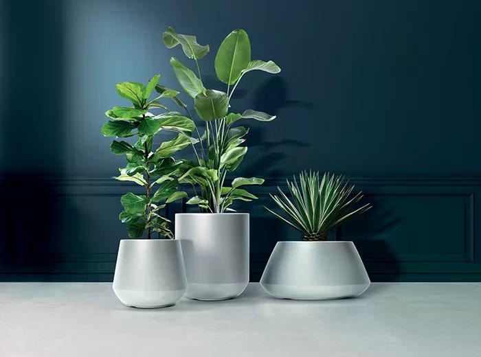 PROSPERPLAST Vaza Heos - Akcija u trgovini Plodine