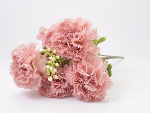 Buket Karanfil 48 cm - Akcija u trgovini KTC