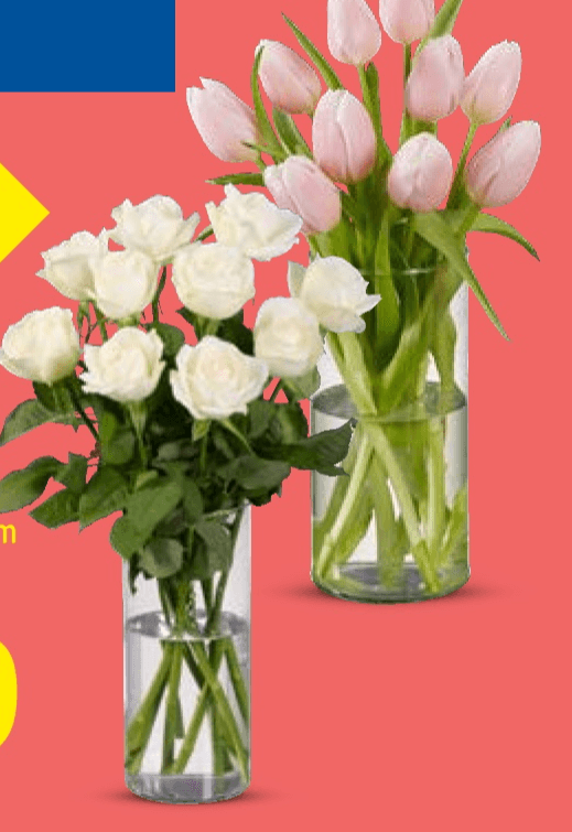 Ruže ili tulipani rezani Buket - Akcija u trgovini Lidl