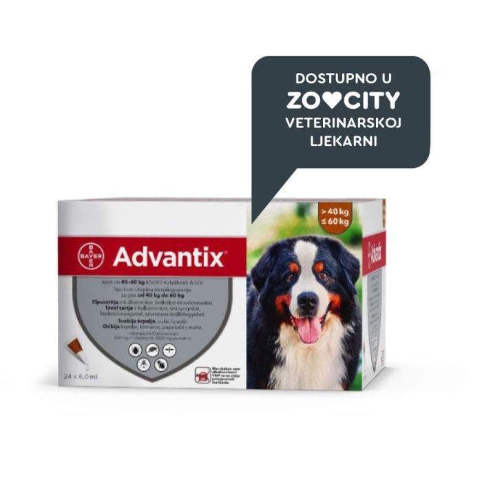 Advantix ampula 40 do 60 kg - Akcija u trgovini Zoo City