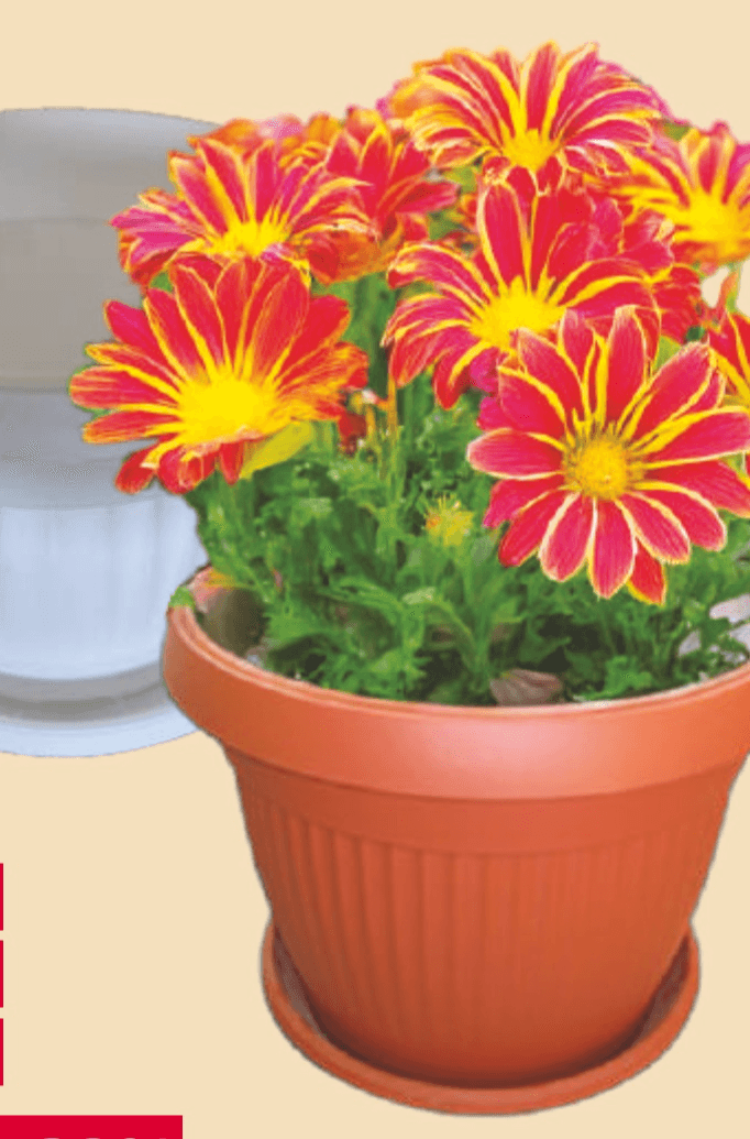 Posuda za cvijeće s podmetačem 1 kom - Akcija u trgovini Tommy