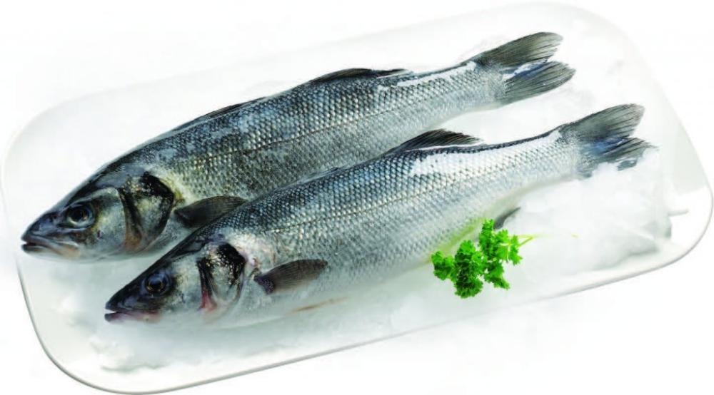 Svježi brancin 1kg - Akcija u trgovini Konzum