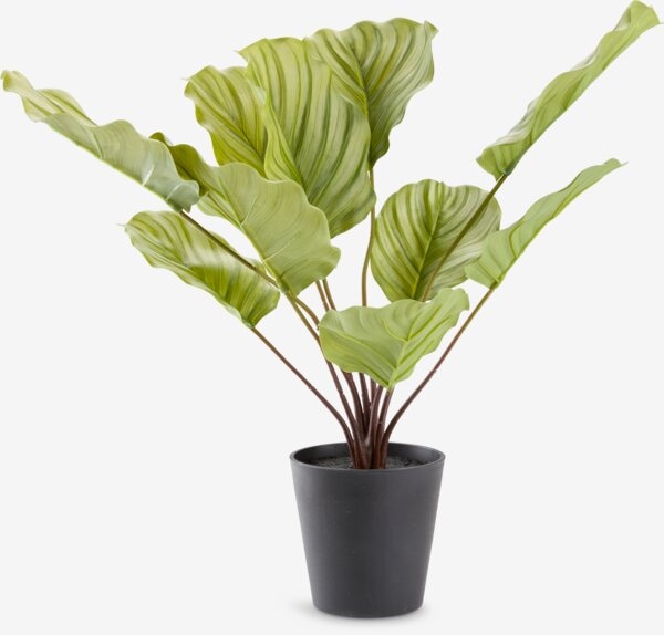 ROLF umjetna biljka Ø35xV55 cm - Akcija u trgovini Jysk