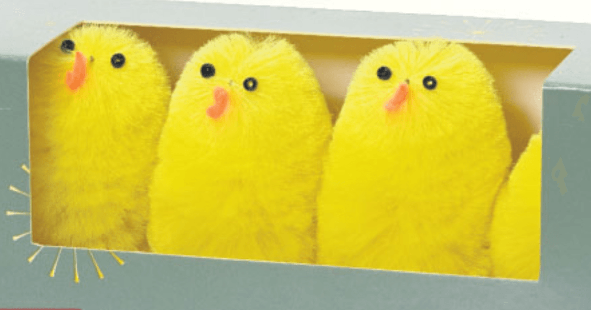 Set dekorativnih pilića 4 kom/set - Akcija u trgovini KTC