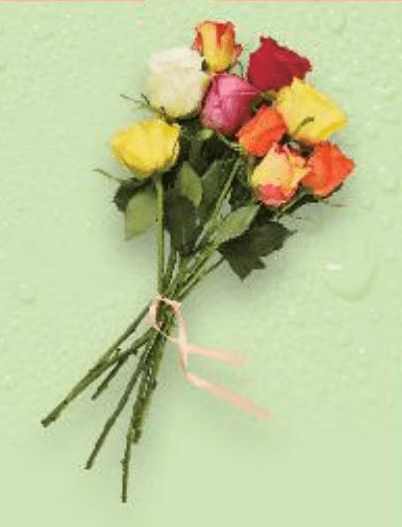 Buket ruža mix pakiranje od 9 komada - Akcija u trgovini Kaufland