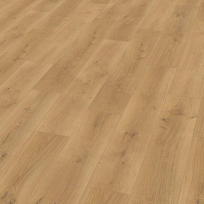 Schenna - Akcija u trgovini Bauhaus