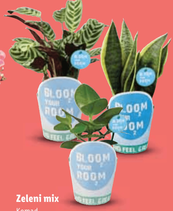 Zeleni mix - Akcija u trgovini Lidl