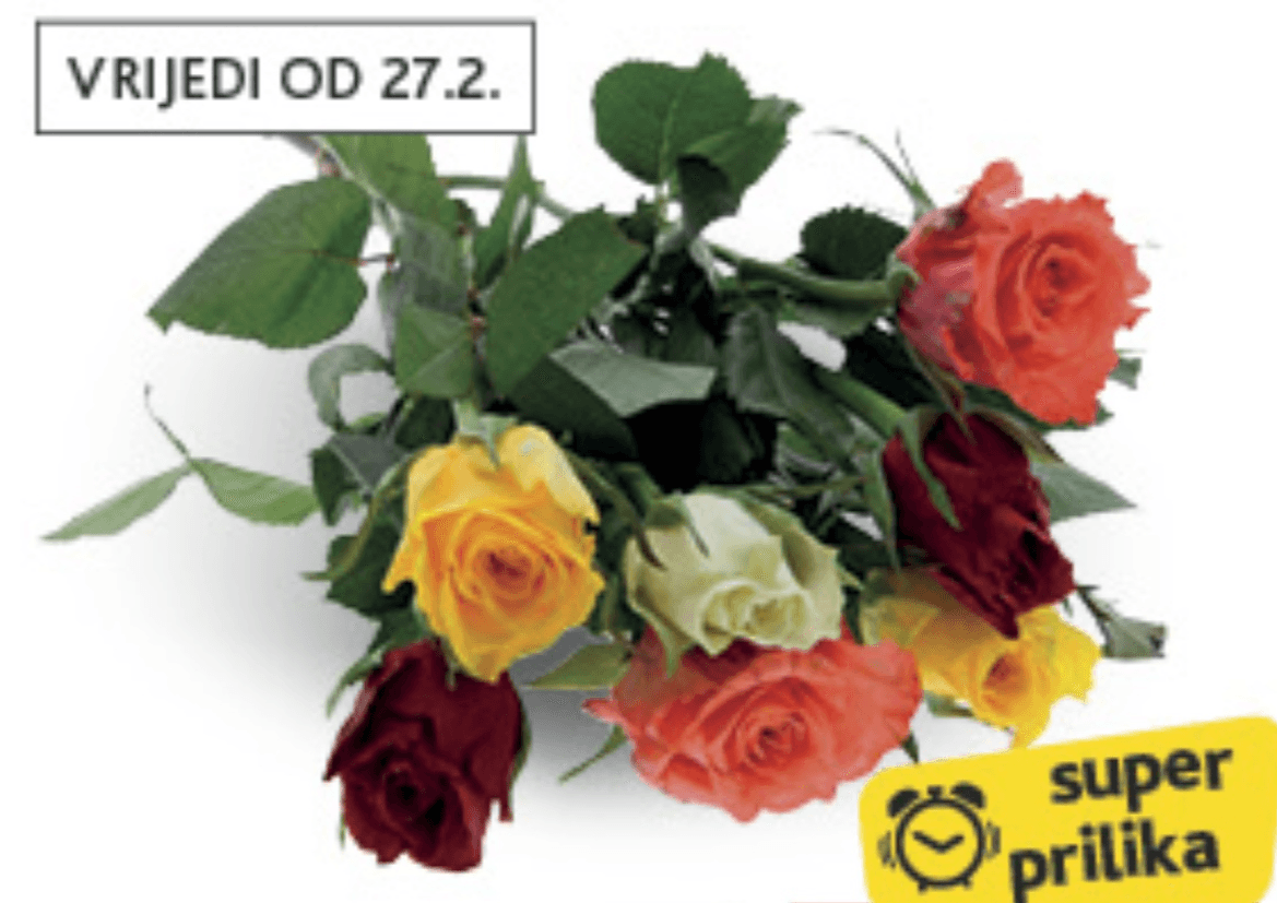 Buket Harmony 7 ruža kom - Akcija u trgovini Konzum