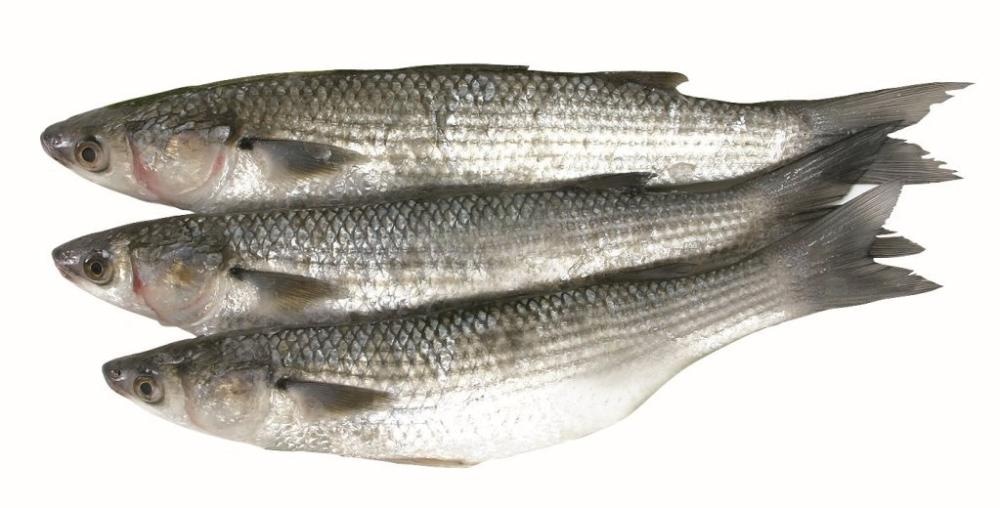 Jadranski cipal balavac 1 kg - Akcija u trgovini Interspar