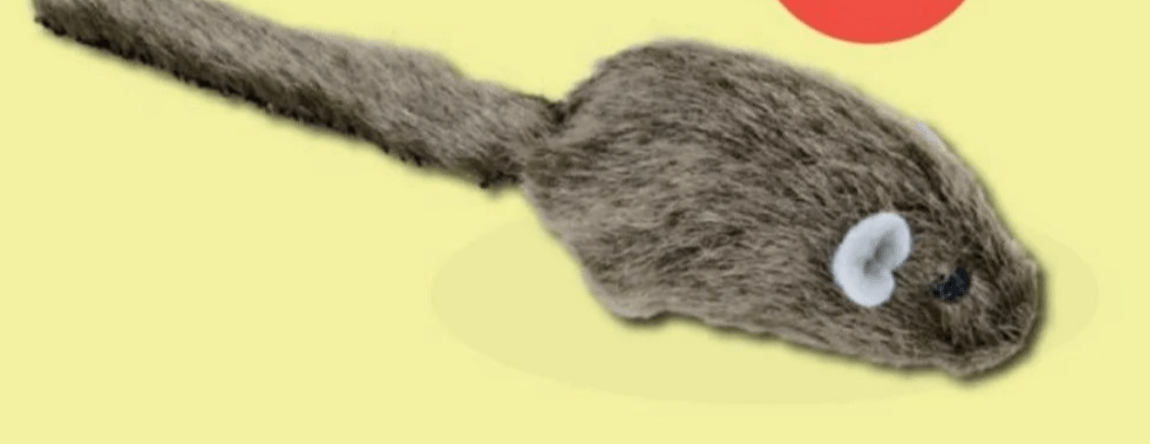 Anione igračka za mačke 5 cm - Akcija u trgovini Zoo City