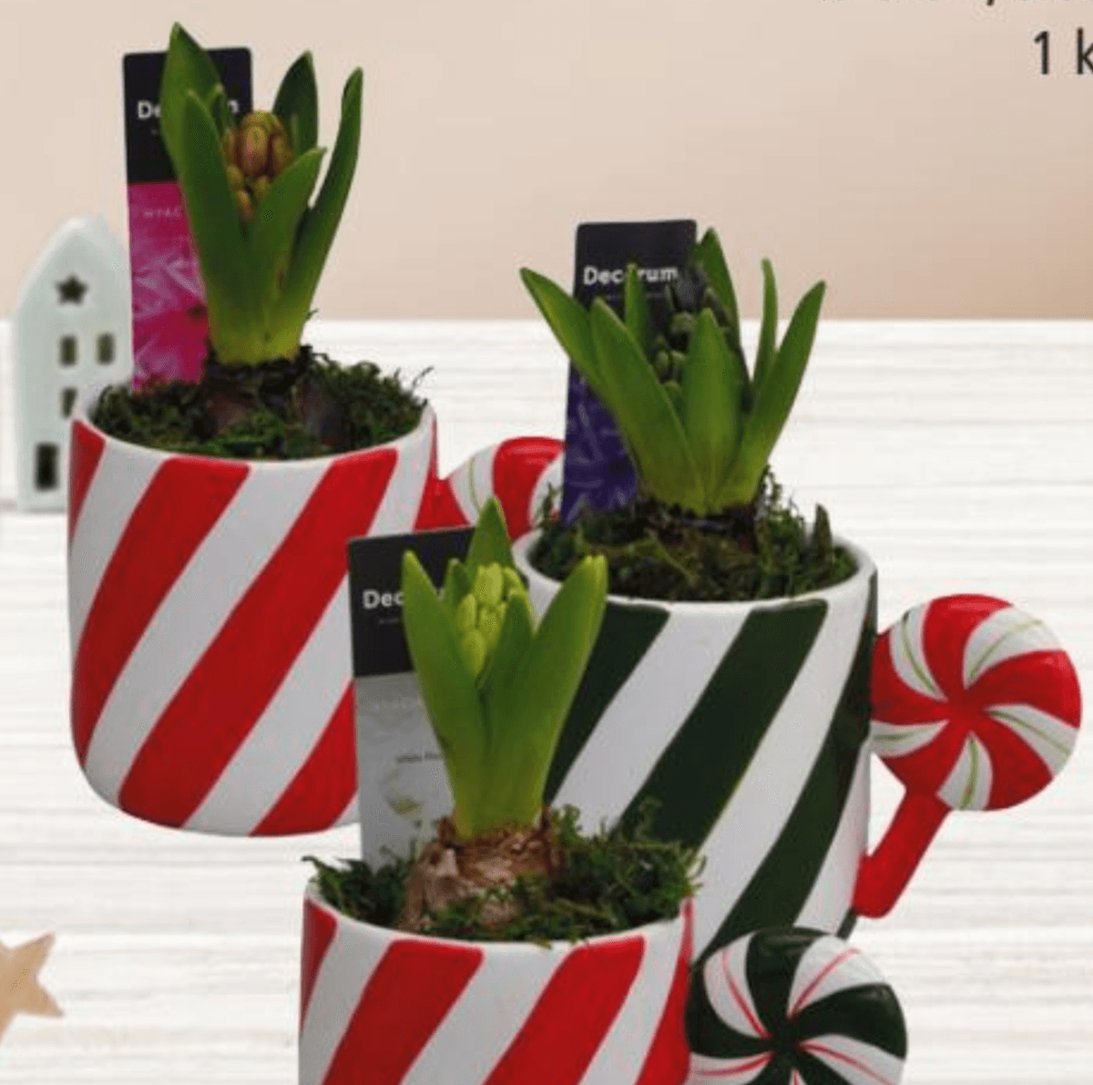 Zumbul Xmas 1 kom - Akcija u trgovini Interspar