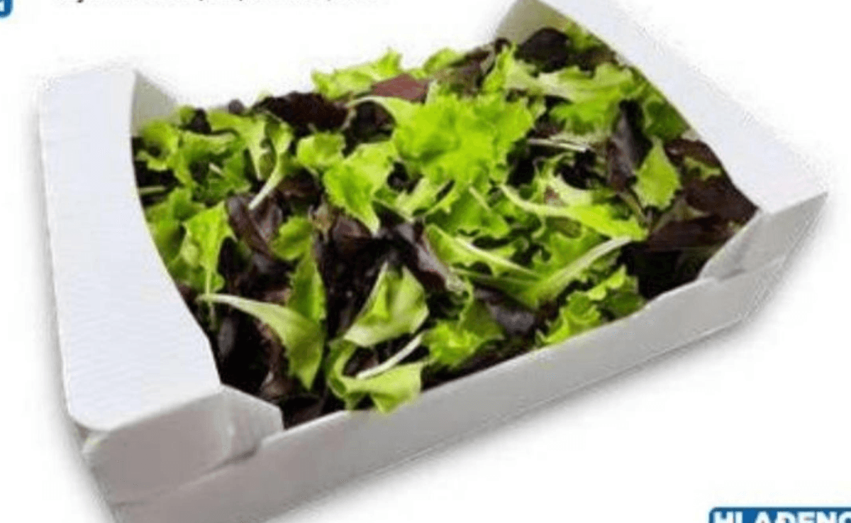 Zelena i crvena salata 250 g - Akcija u trgovini Eurospin