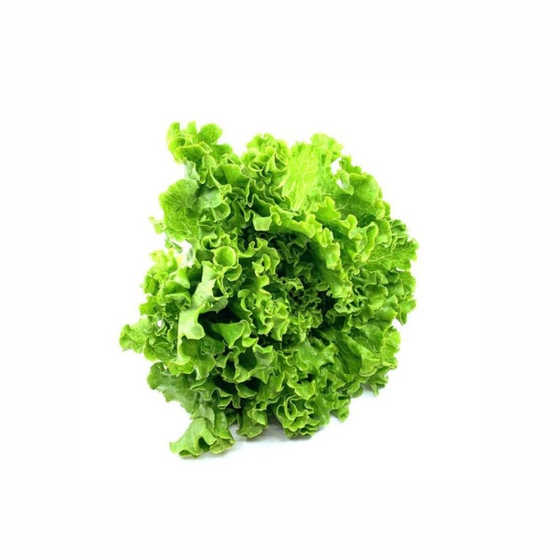 Salata kristal 1 kg - Akcija u trgovini Boso