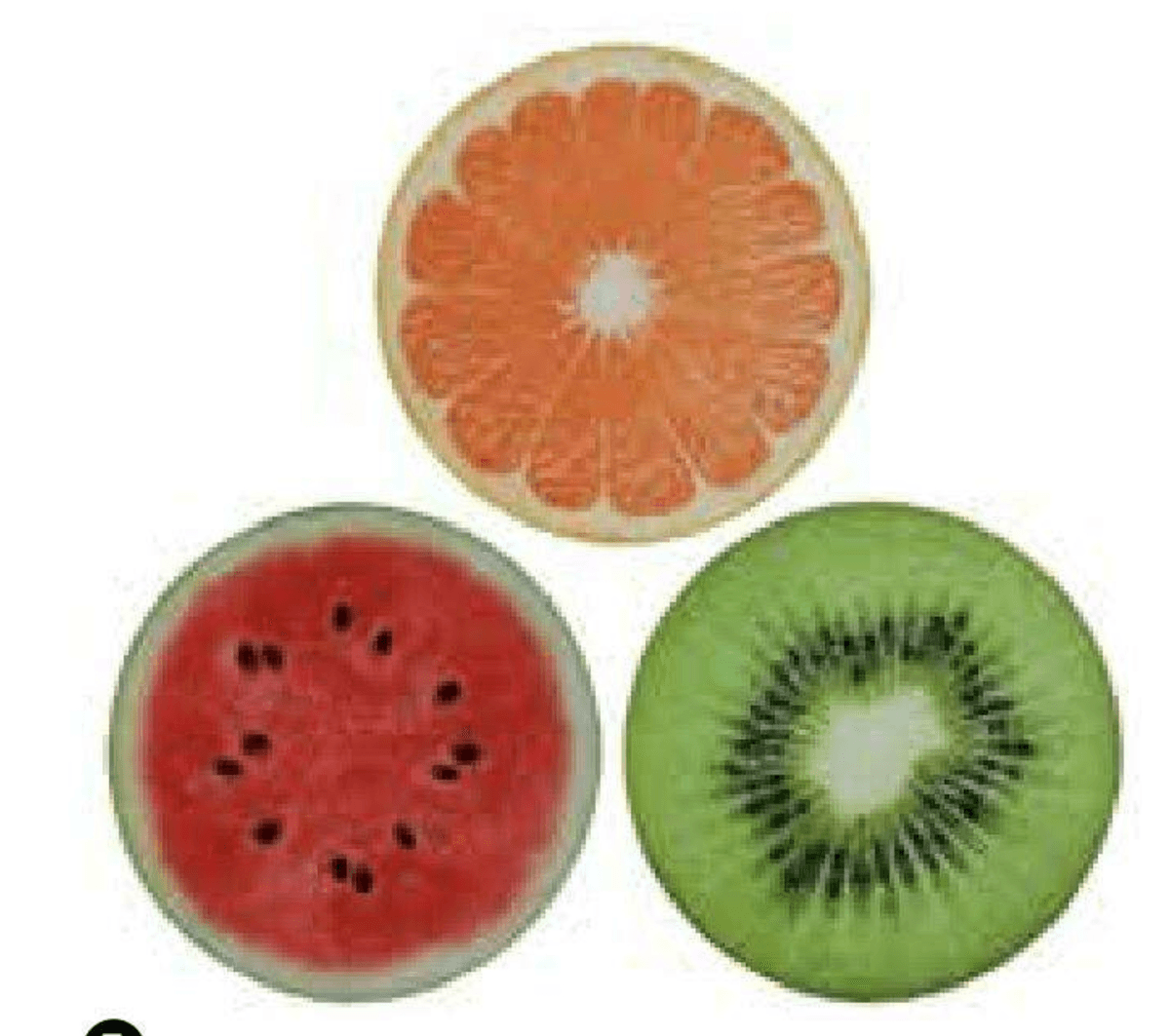 Podmetač za stol - Akcija u trgovini Lesnina