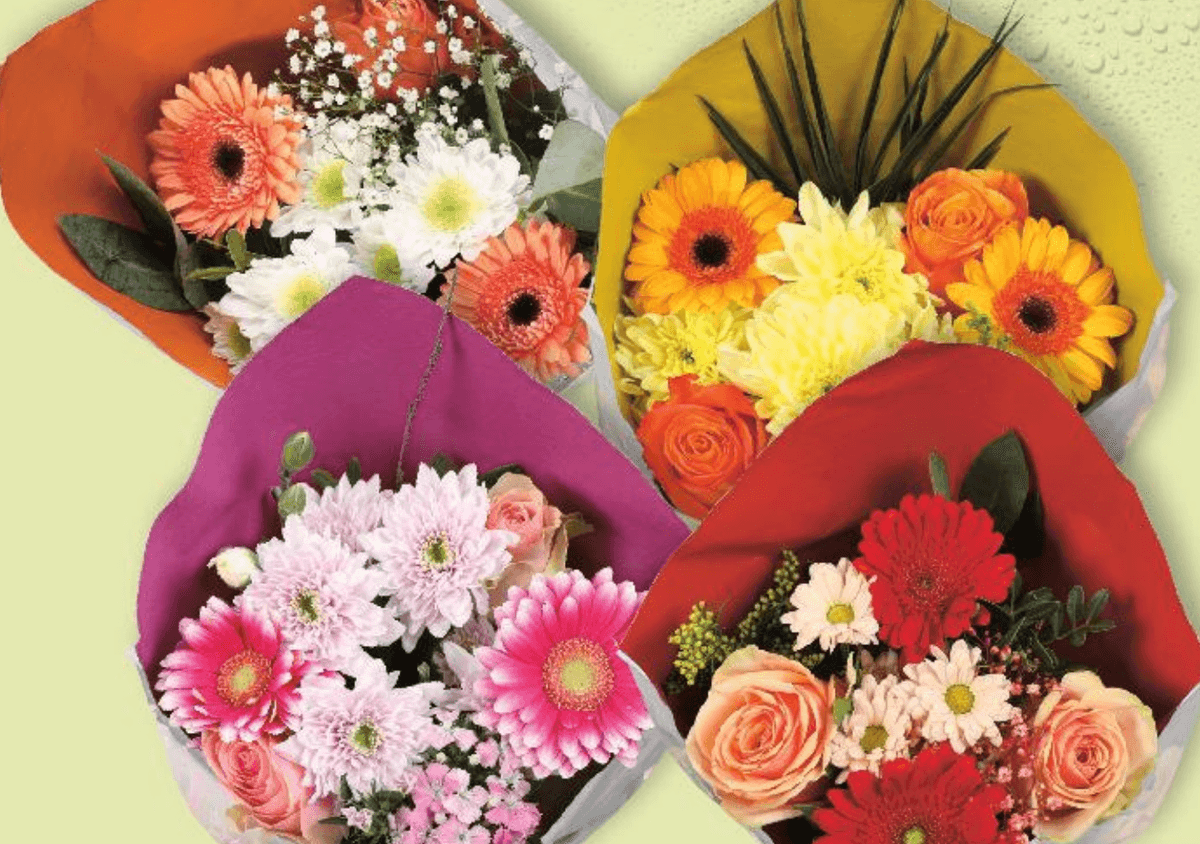 Buket mix - Akcija u trgovini Plodine