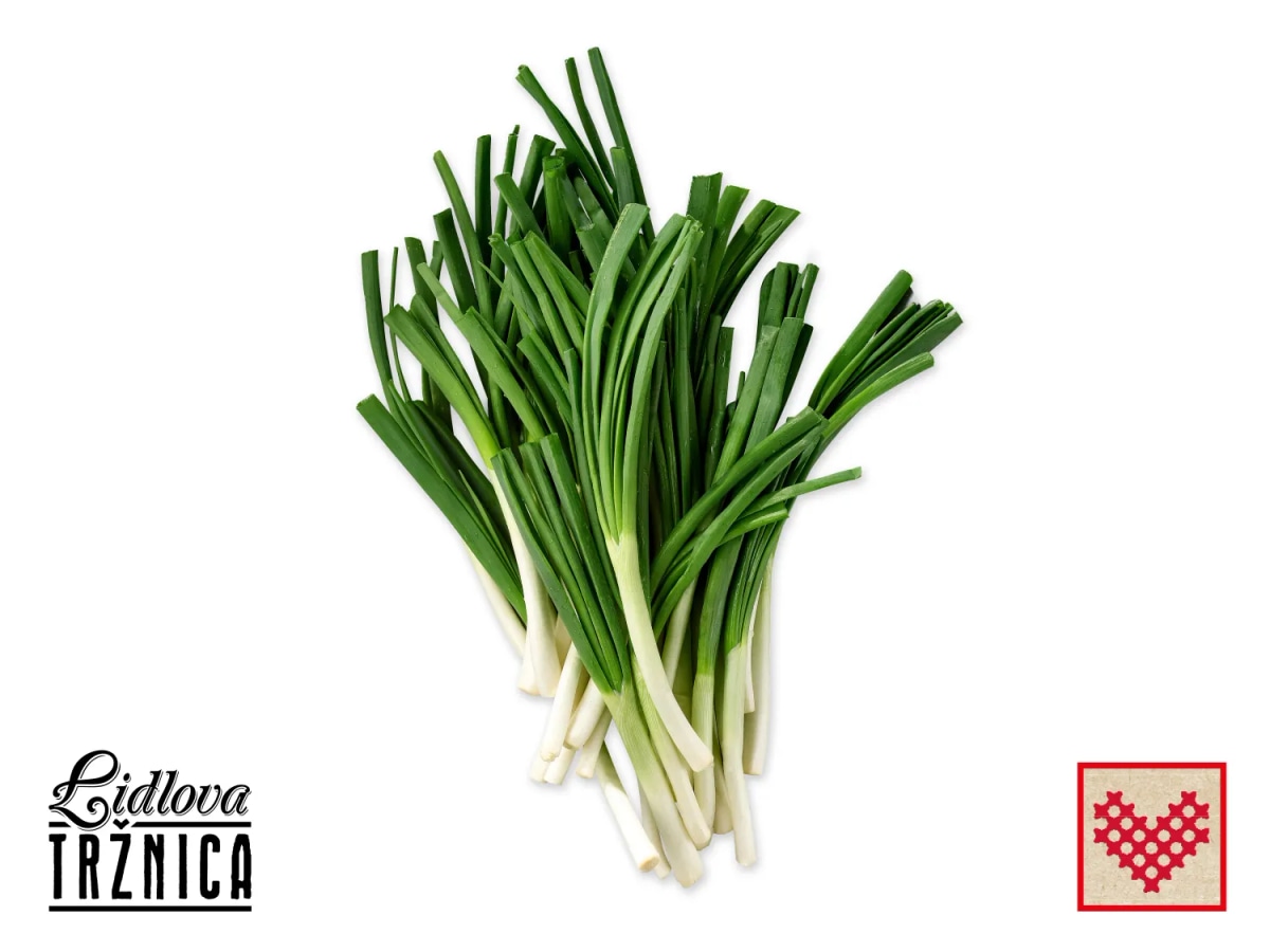 Mladi luk svežanj - Akcija u trgovini Lidl