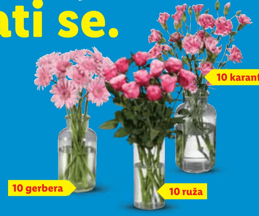 Rezano cvijeće - Akcija u trgovini Lidl