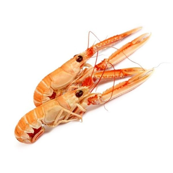 Škampi 1 kg - Akcija u trgovini Interspar