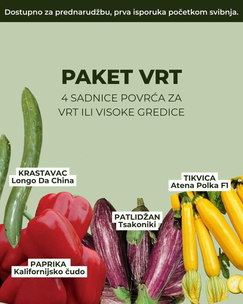 Sadnice povrća 1 kom - Akcija u trgovini Kaufland