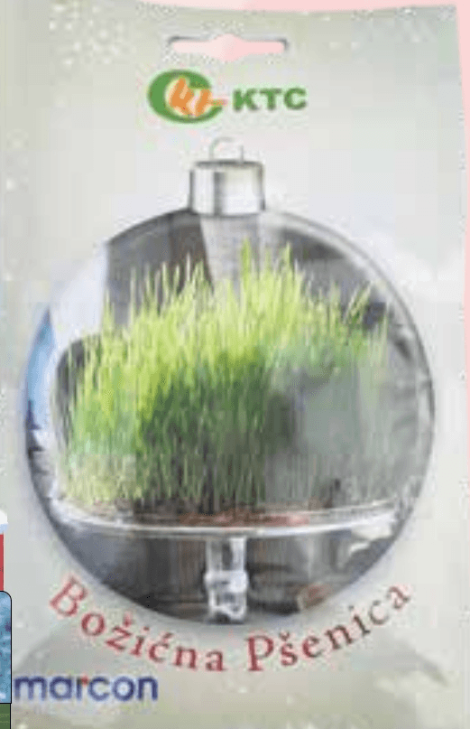 Božićna pšenica 50 g MARCON - Akcija u trgovini KTC