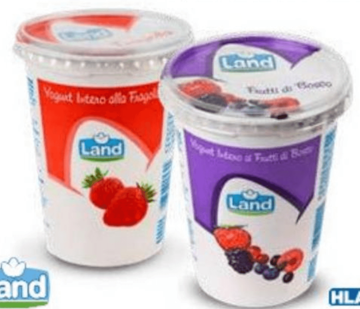 Land Voćni jogurt 500 g - Akcija u trgovini Eurospin