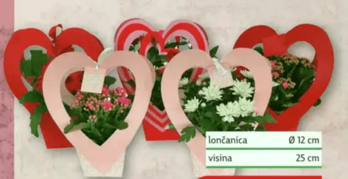 Cvjetni mix - Akcija u trgovini Plodine