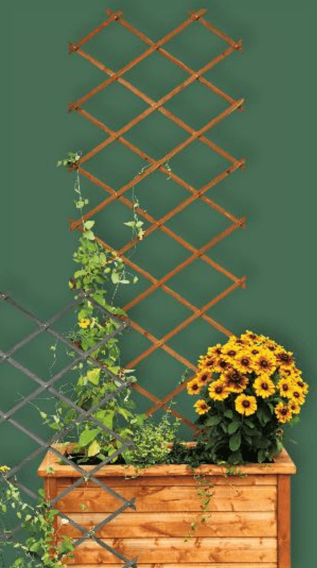 PARKSIDE® Rešetka za penjačice - Akcija u trgovini Kaufland