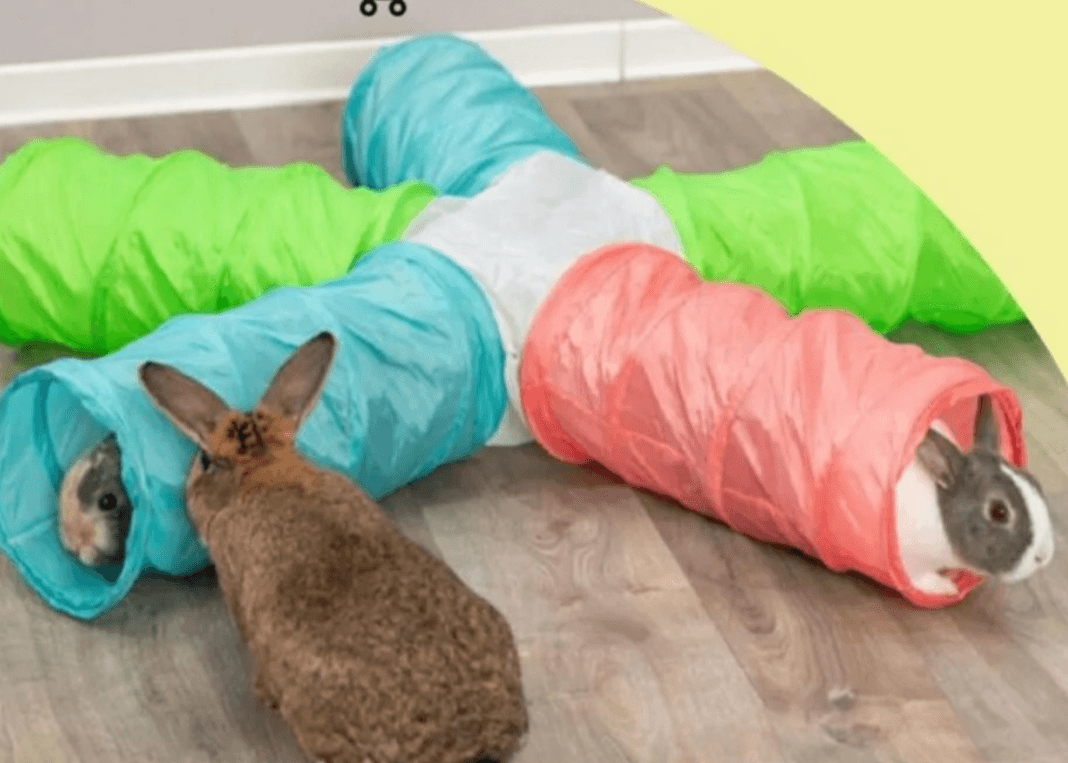 TRIXIE tunel - Akcija u trgovini Zoo City