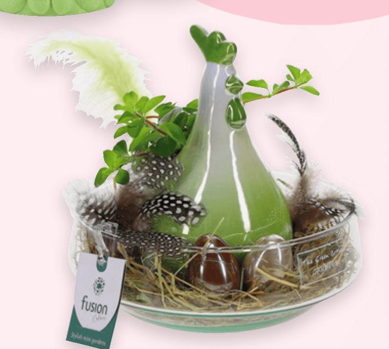 Aranžman Koka 1 kom fusion - Akcija u trgovini Spar