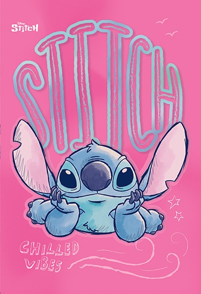 Stitch bilježnica Akcija u trgovini Plodine