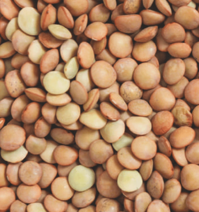 Leća 1 kg - Akcija u trgovini Tommy