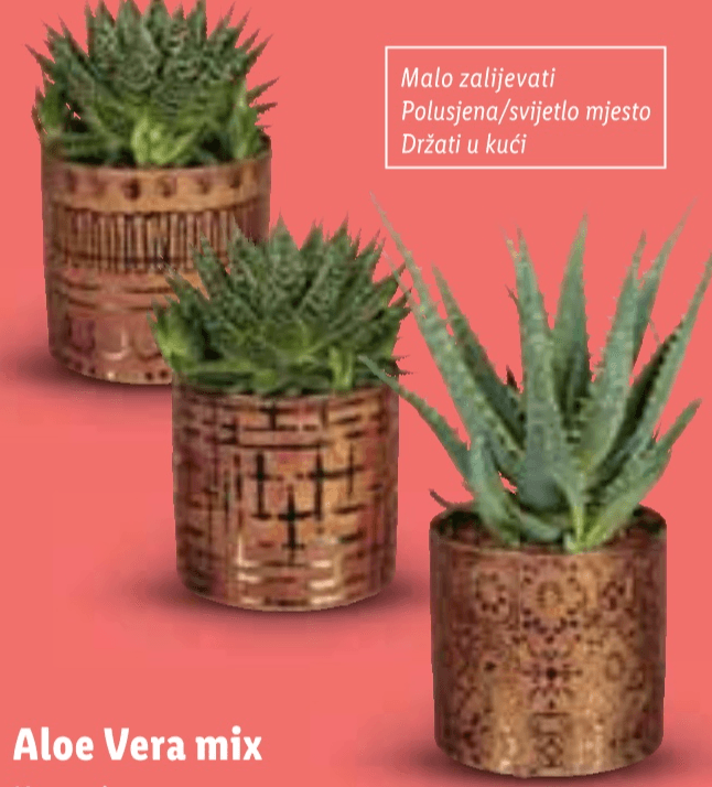 Aloe Vera mix - Akcija u trgovini Lidl