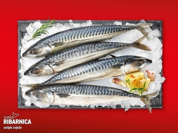 Svježa skuša 1 kg - Akcija u trgovini Spar